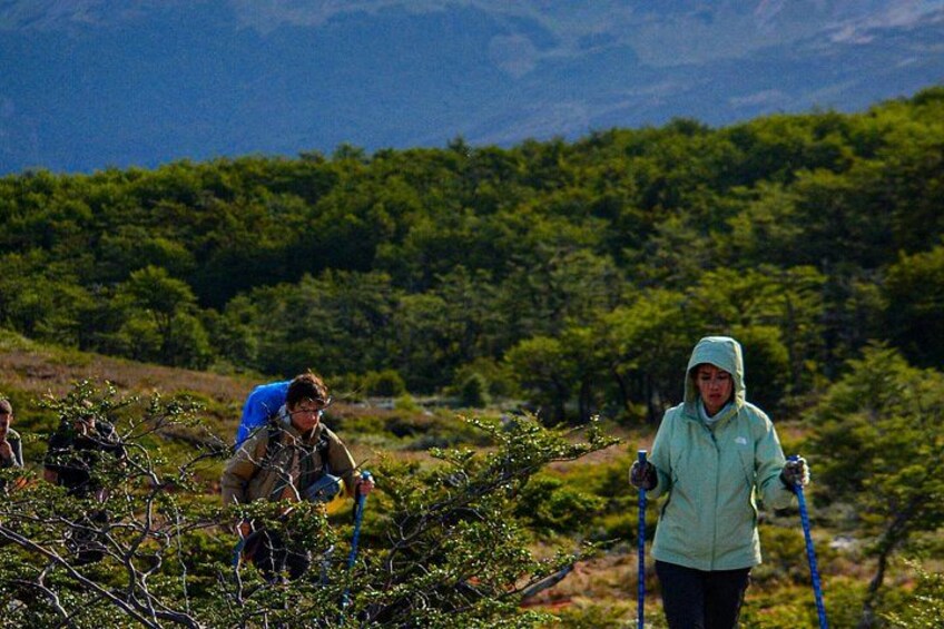 Small group Trekking to Ojo del Albino Glacier 1
