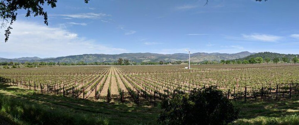 6 Hour Napa and Sonoma Valley Wine Tour from San Francisco