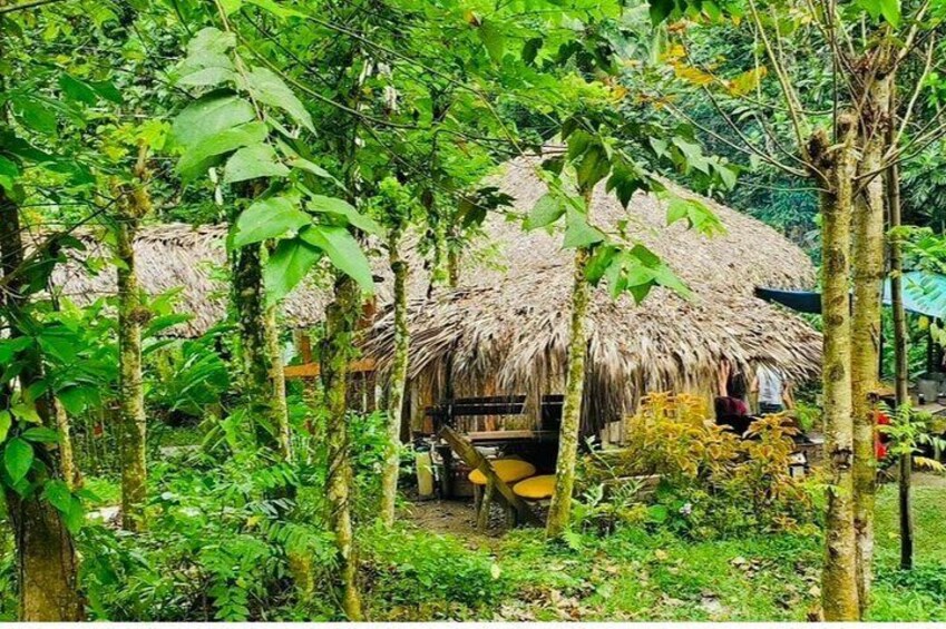 Bamboo Rafting & Jerk Picnic by the Waterfalls