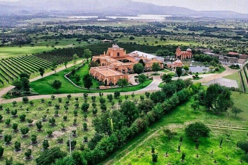 Vineyard, tour, tasting and fun in San Miguel de Allende 1