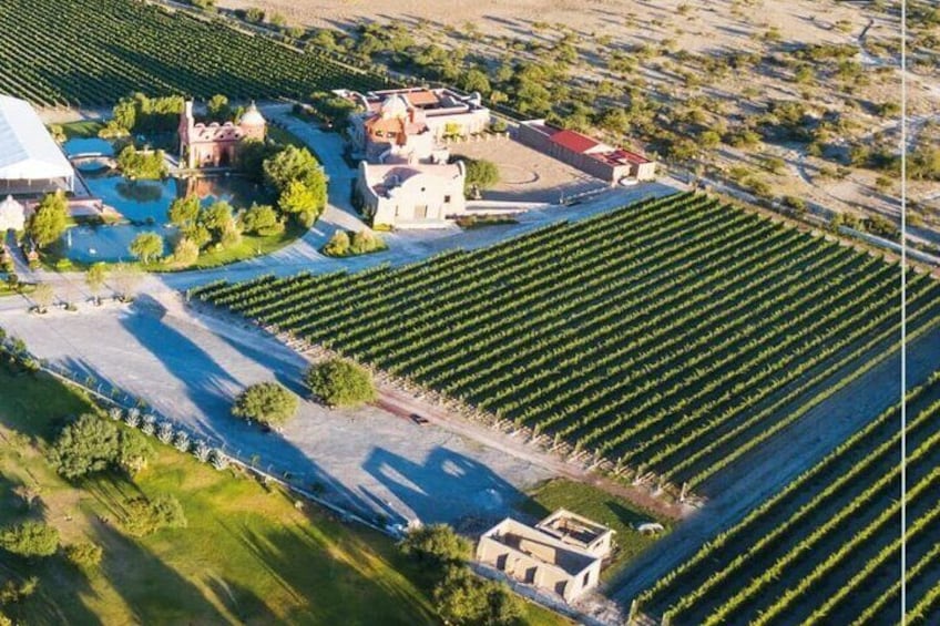 An aerial view of a vineyard with rows of grapevines, a swimming pool, and buildings. 4