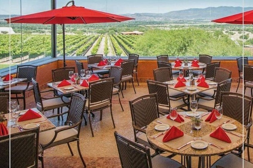 Vineyard, tour, tasting and fun in San Miguel de Allende 2