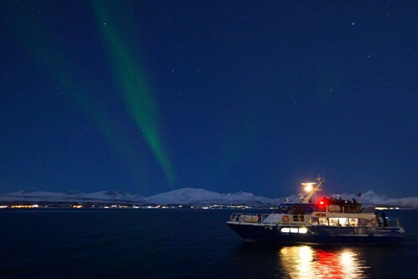 Tromsø: Evening Aurora Cruise 1