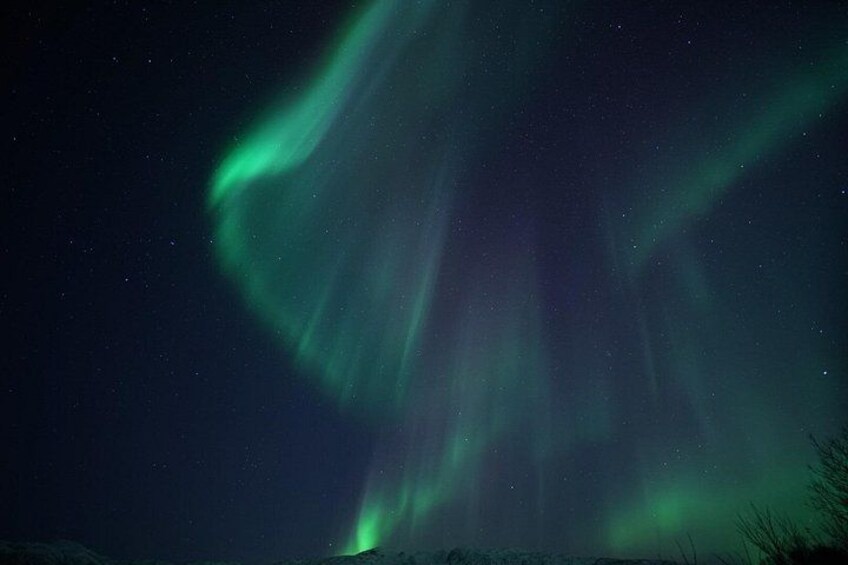 The Northern Lights (Aurora Borealis) in the night sky. 3