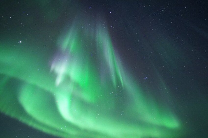 Tromsø: Evening Aurora Cruise 5