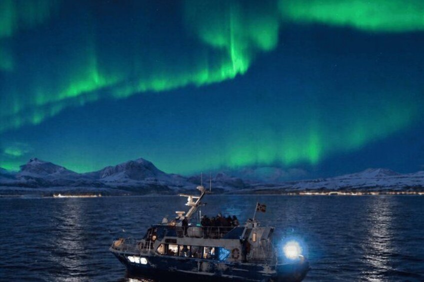 Tromsø: Evening Aurora Cruise 1