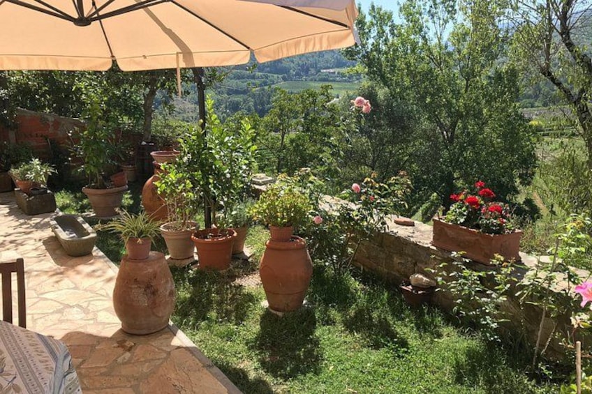 Ein Garten mit Kübelpflanzen, einem Tisch mit Sonnenschirm und Blick auf die Landschaft. 3
