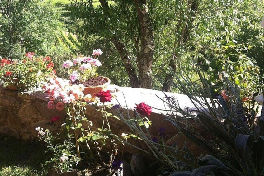 En trädgård med olika växter och blommor, en stenmur och ett träd. 3