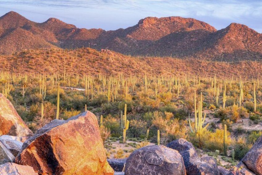 A desert landscape with cacti and large rocks. 3