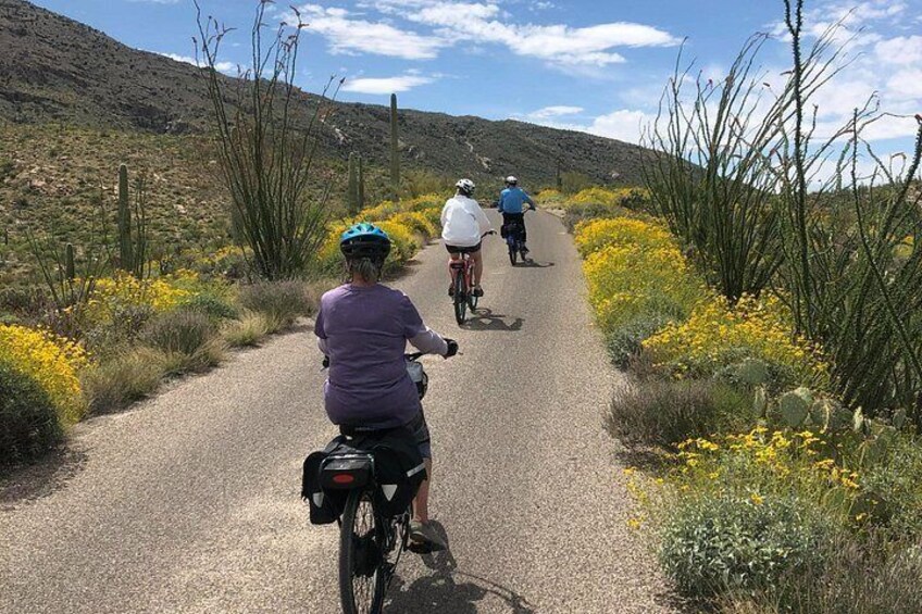 Ein gepflasterter Weg mit Radfahrern, umgeben von Wüstenvegetation und Kakteen. 4
