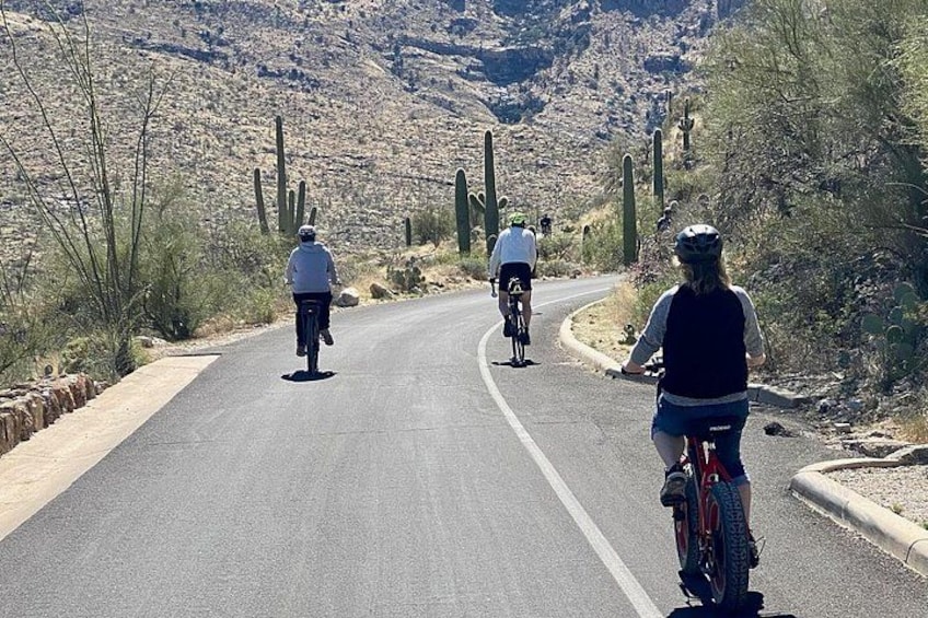 Three cyclists on a paved road with cacti and desert terrain in the background. 2