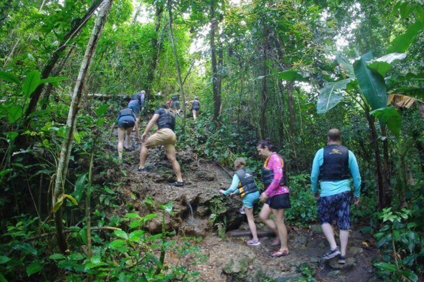 People hiking on a rocky trail in a dense forest. 2