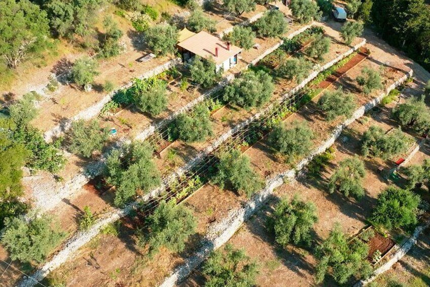 Our farm 2