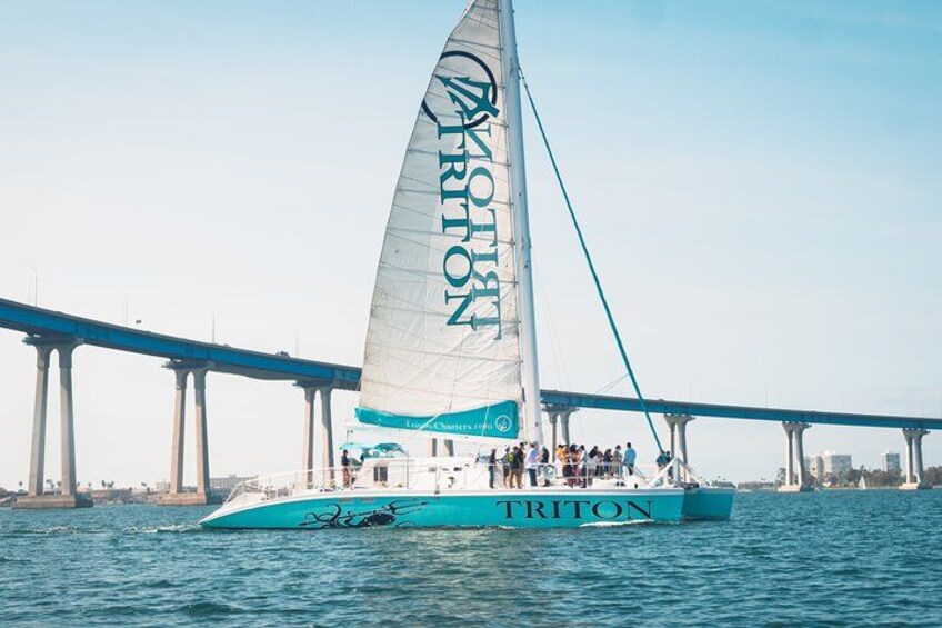 Cruise underneath the Coronado Bridge 1