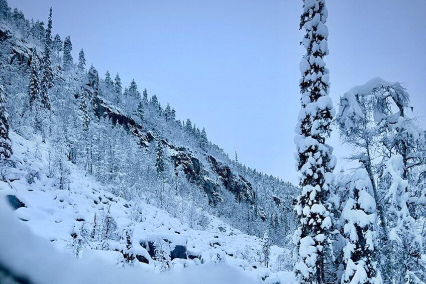 A snow-covered mountainous landscape with dense forests and rocky terrain. 5