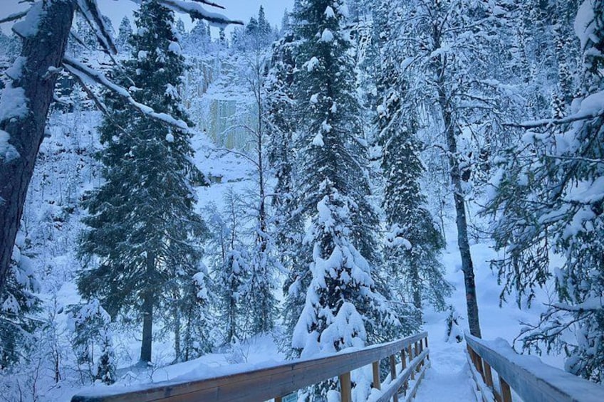 A snow-covered forest with a wooden bridge. 3