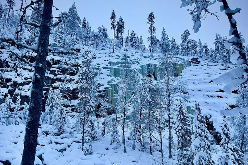 A snowy forest with a frozen waterfall. 1