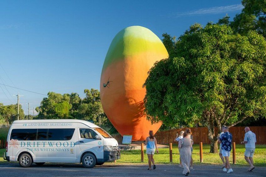 Un gran globo aerostático, una camioneta blanca con el texto 'DRIFTWOOD DRIVERS WHITSUNDAYS' y personas caminando por una acera. 1