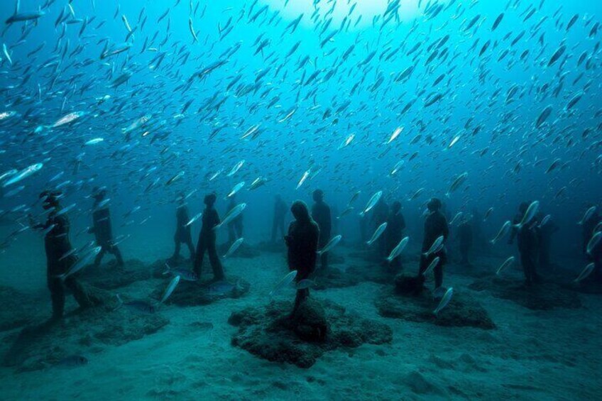 2-Hour Freediving or Snorkeling Activity at Museo Atlantico