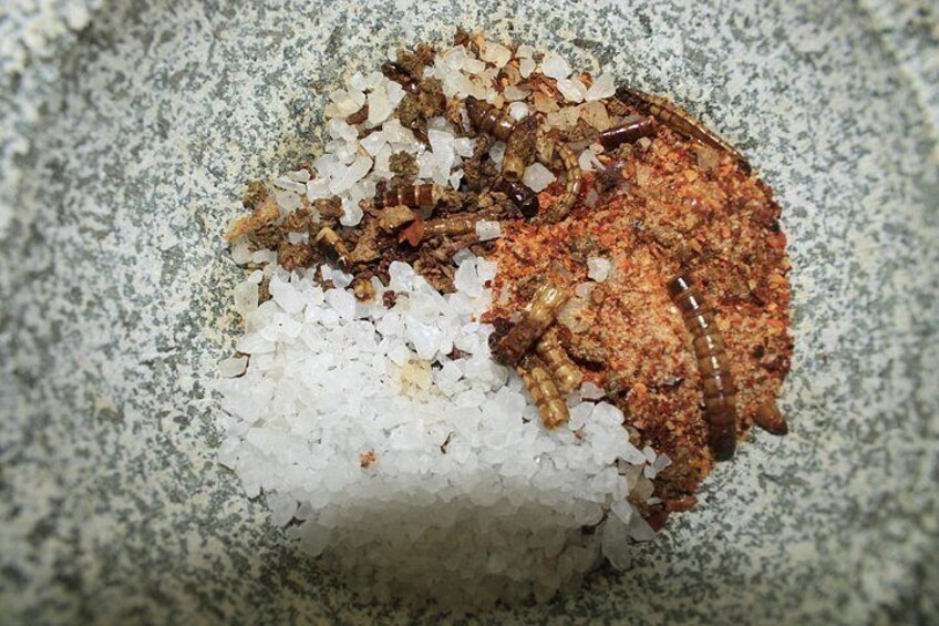 A close-up of a rock with a pile of white salt crystals and some brownish material, possibly a type of mineral or organic matter. 4