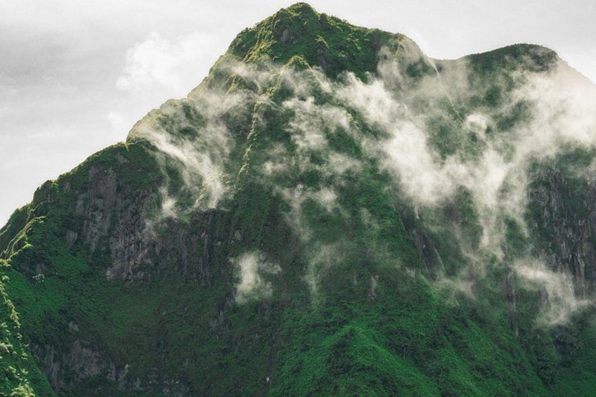 A mountain with dense green vegetation and mist. 3