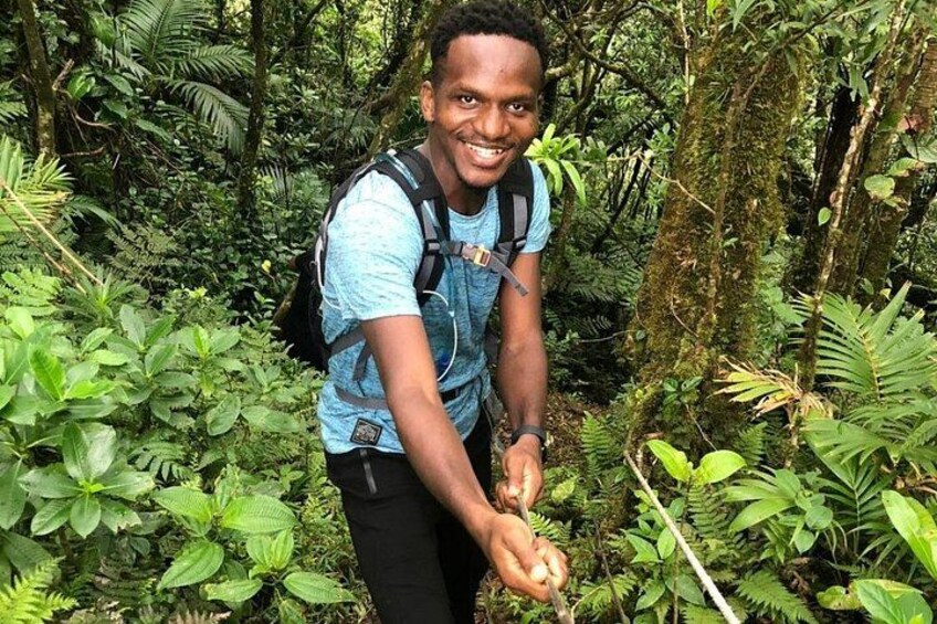 A person hiking in a dense forest with lush greenery and ferns. 4