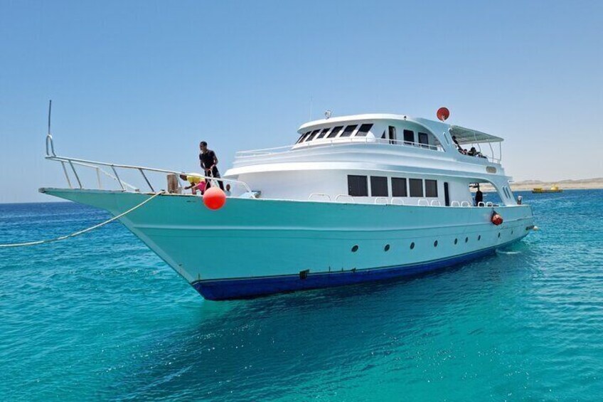 Magical snorkeling trip to Marsa Mubarak With Transfer and Lunch - Marsa Alam 5