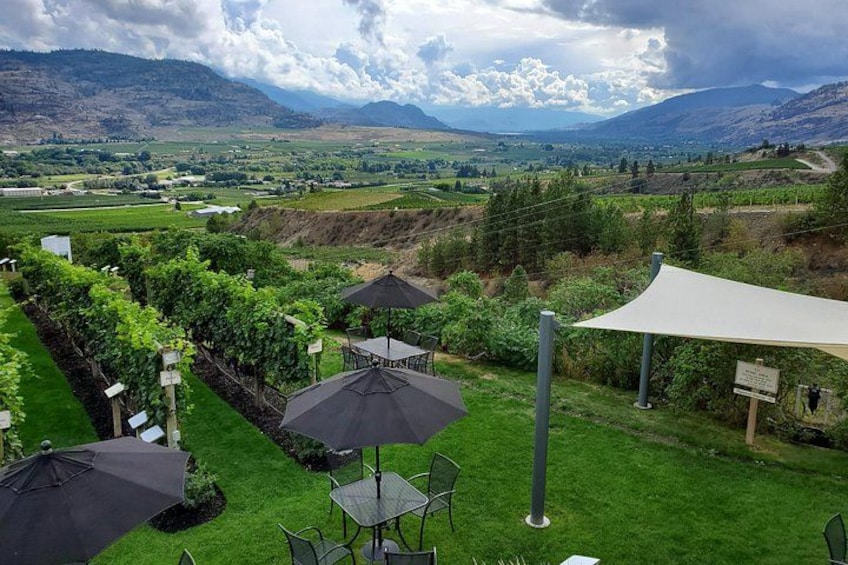 Oliver & Osoyoos Private Wine Tour - Half Day 3