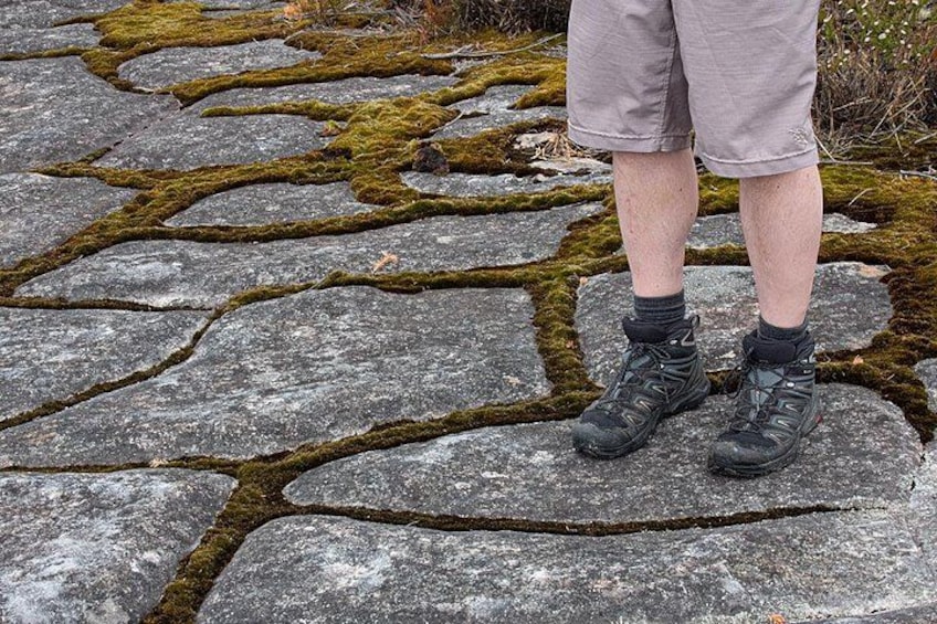 Eine Person steht auf einem moosbewachsenen Steinweg. 3