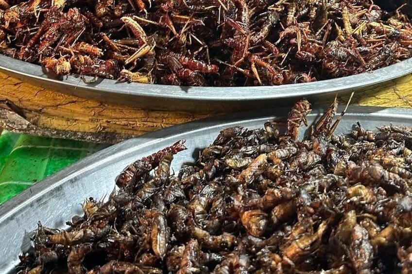 A variety of fried insects displayed in metal trays. 3
