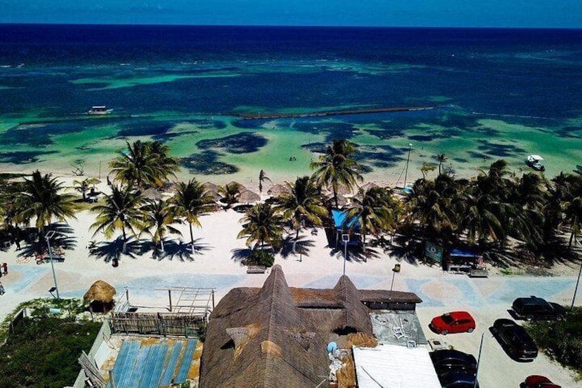 Une plage bordée de palmiers, une mer d’un bleu limpide et des voitures garées. 1