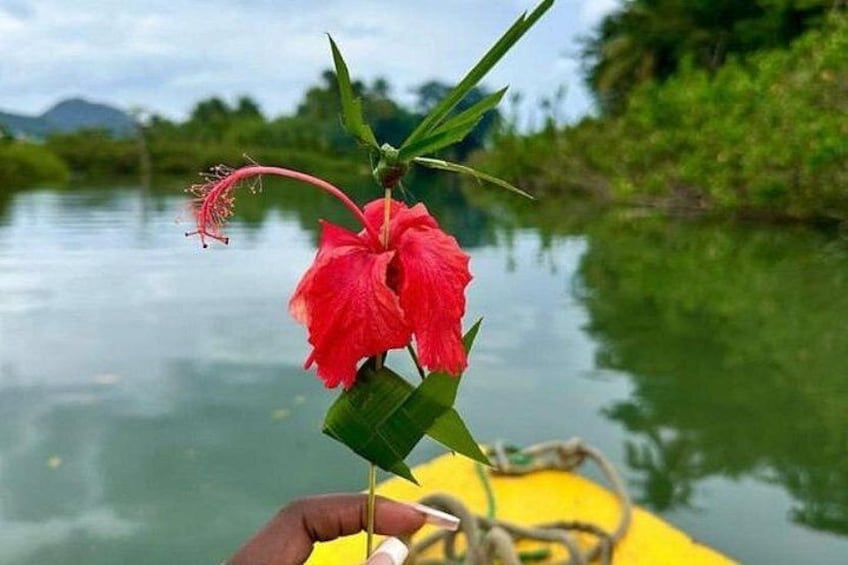 Admire the silence of nature as you float on the river. 2