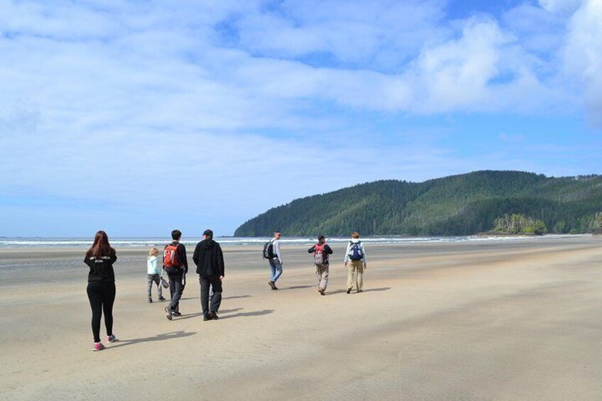 Busy day at San Josef Bay! 