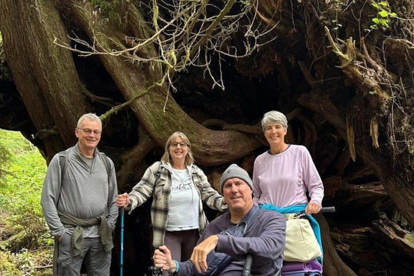 Eine Gruppe von Wanderern in der N ähe eines großen Baumes. 3