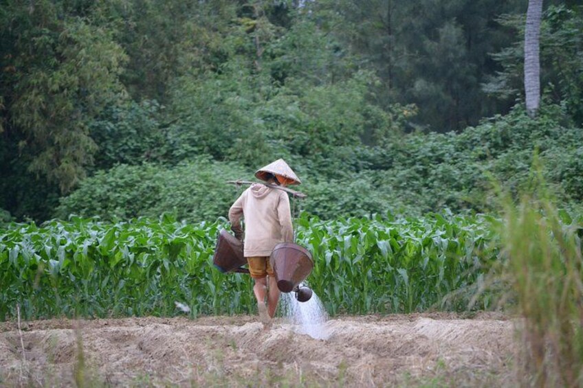 A person walking through a field, carrying a bag and a container. 2