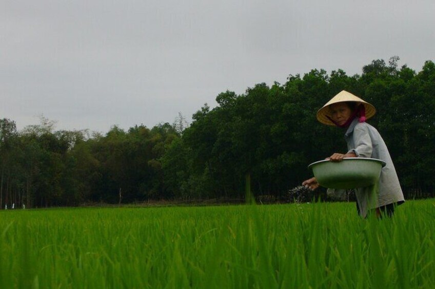 A person in a field with a green container. 5