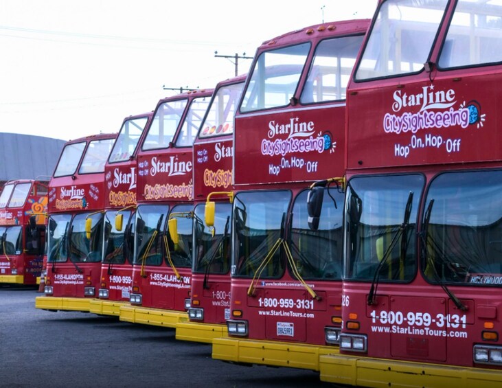 Filera d'autobusos rojos de dos pisos amb la marca 'StarLine CitySightseeing' i informació de contacte. 3