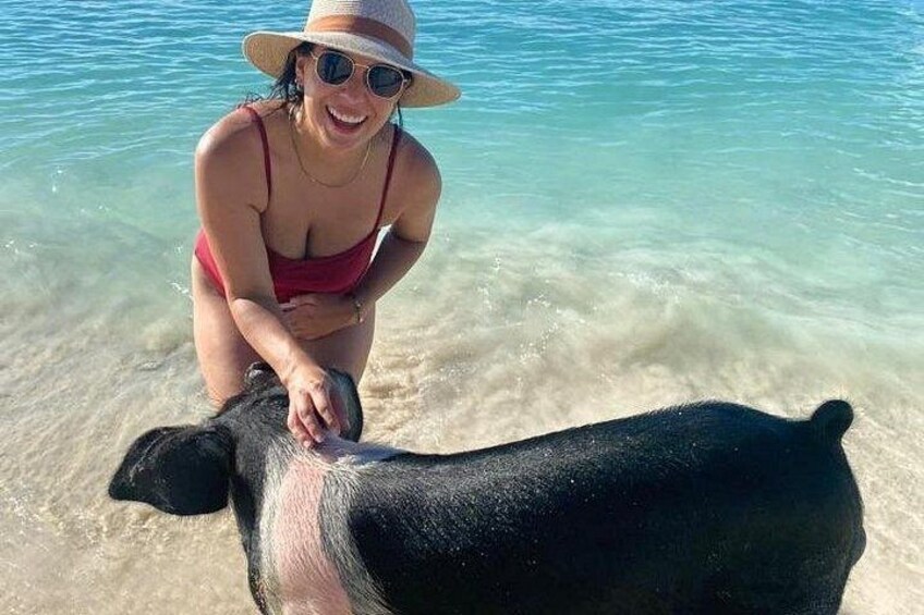 Rose Island Swimming with the Pigs Lunch and Private Beach 5
