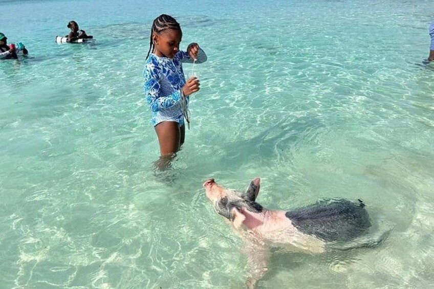 Rose Island Swimming with the Pigs Lunch and Private Beach 2