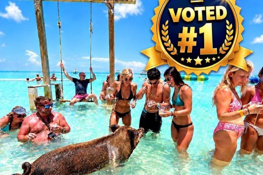 A tropical beach scene with people in the water, a wooden swing, and a large sea turtle. 1