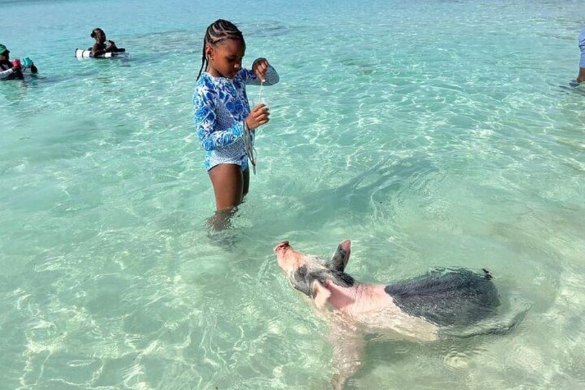Rose Island Swimming with the Pigs Lunch and Private Beach 3