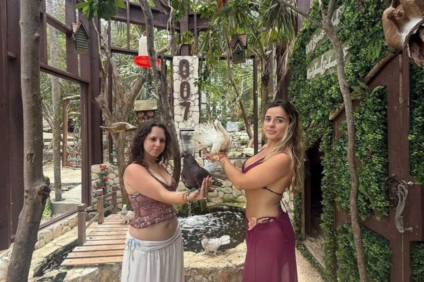 Two people holding a white bird in a garden with wooden structures and greenery. 3