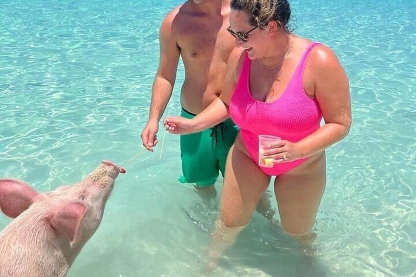 Rose Island Swimming with the Pigs Lunch and Private Beach 4