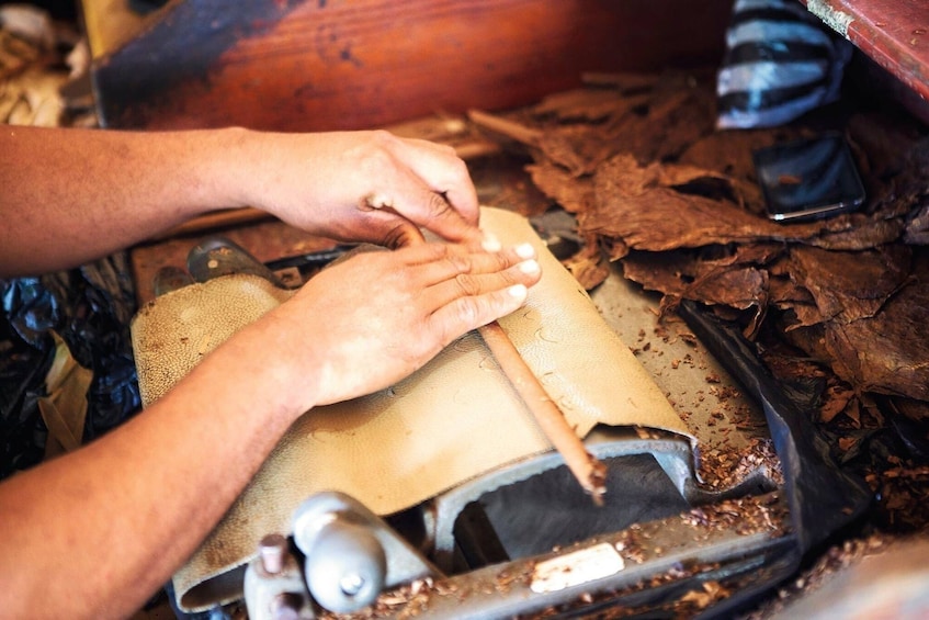 Hands working with leather and tools, surrounded by leaves and a metal object. 5