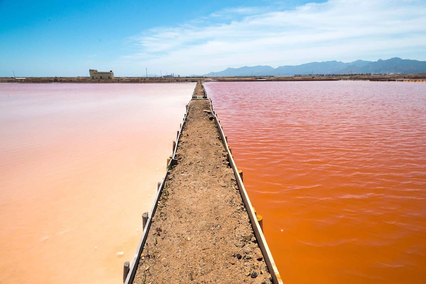 A long, narrow bridge over a body of water with a distinct color gradient from pink to orange. In the background, there are mountains and a building. 5