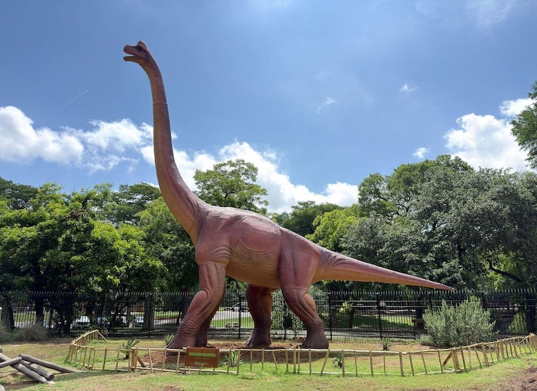 Picture 2 for Activity San Antonio: Zoo Entry & Zoorassic Park Dinosaur Experience 3