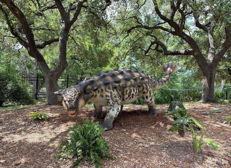 Picture 4 for Activity San Antonio: Zoo Entry & Zoorassic Park Dinosaur Experience 3