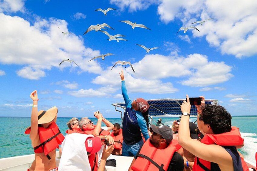 Saona Island Speedboat Tour with Altos de Chavón from Punta Cana 4