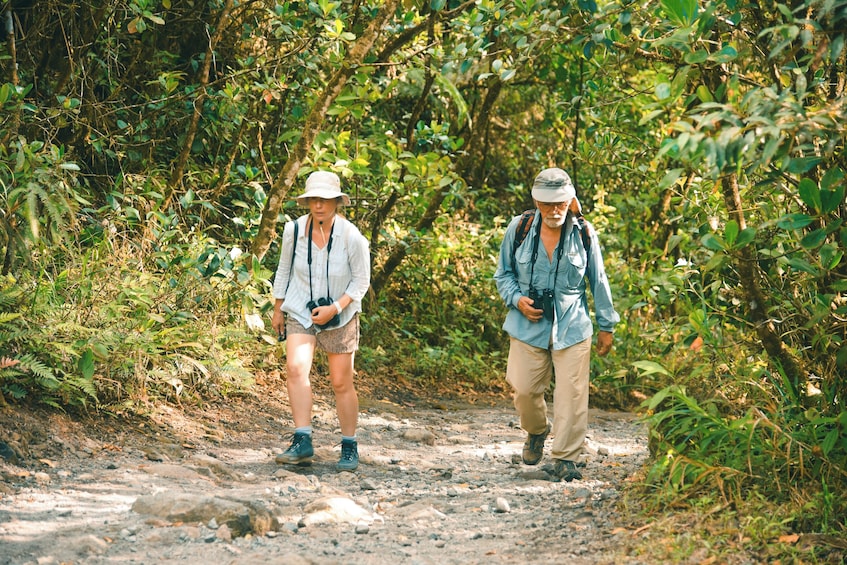 Arenal Volcano Hike & Hot Springs 4