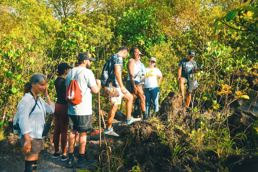 Arenal Volcano Hike & Hot Springs 2